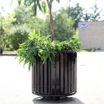 commercial park planters/ street planters provides a chance to add greeneries in busy urban spaces