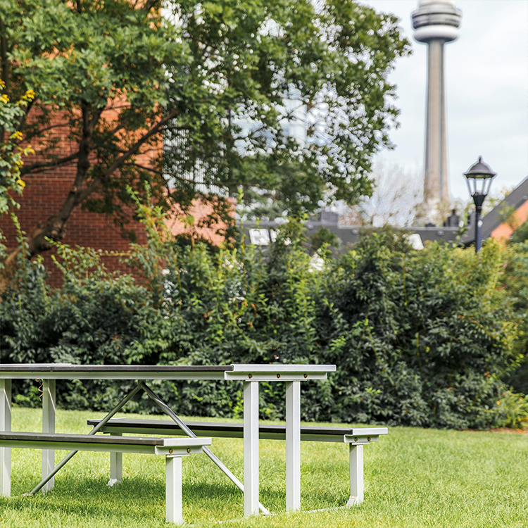 outdoor picnic dining and patio table located in a park in downtown Toronto